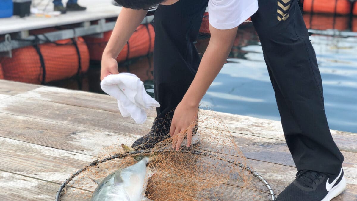 海上釣堀湯浅