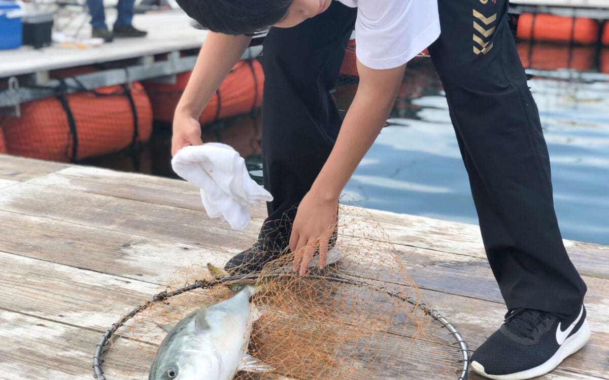 海上釣堀湯浅