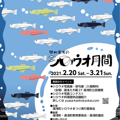 シロウオ月間が始まります！2021年2月20〜3月21日