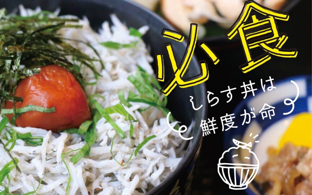 必食「しらす丼」は鮮度が命！