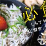 必食「しらす丼」は鮮度が命！