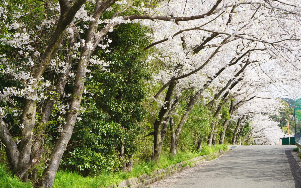 湯浅城公園