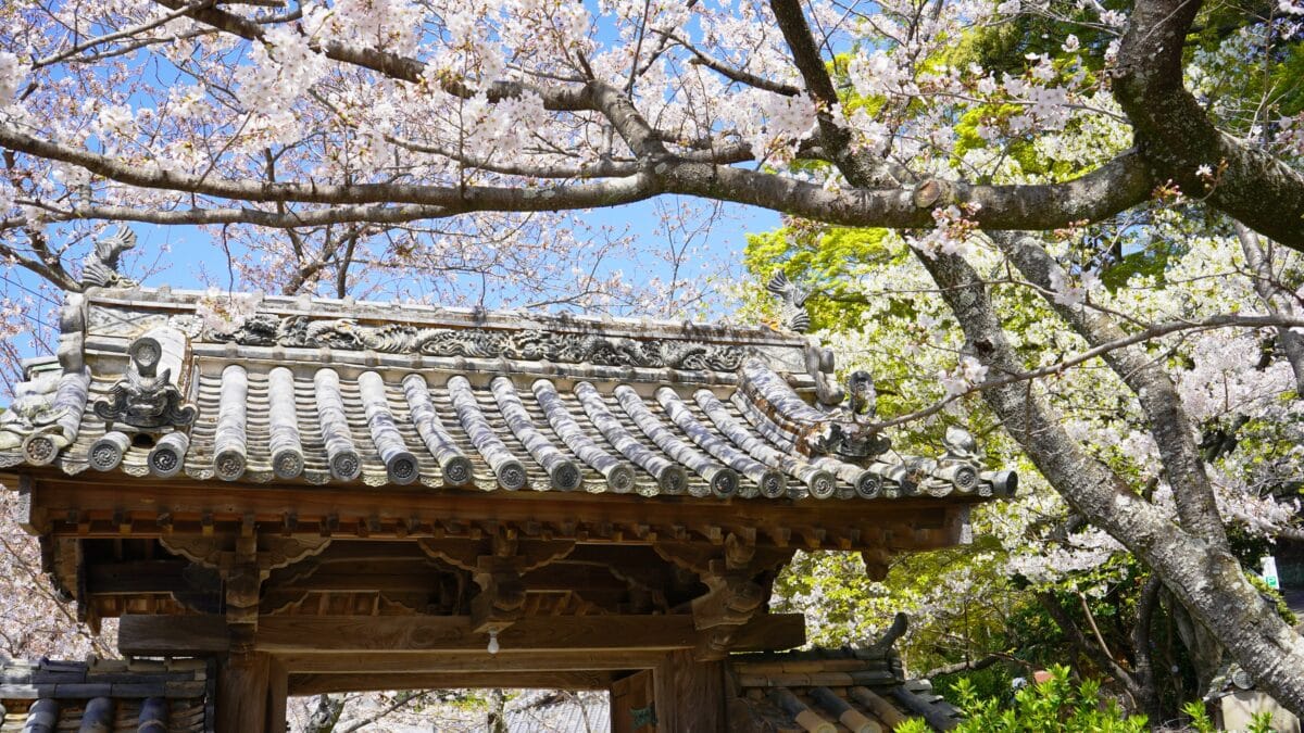 施無畏寺