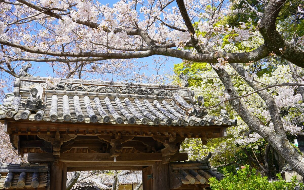 施無畏寺