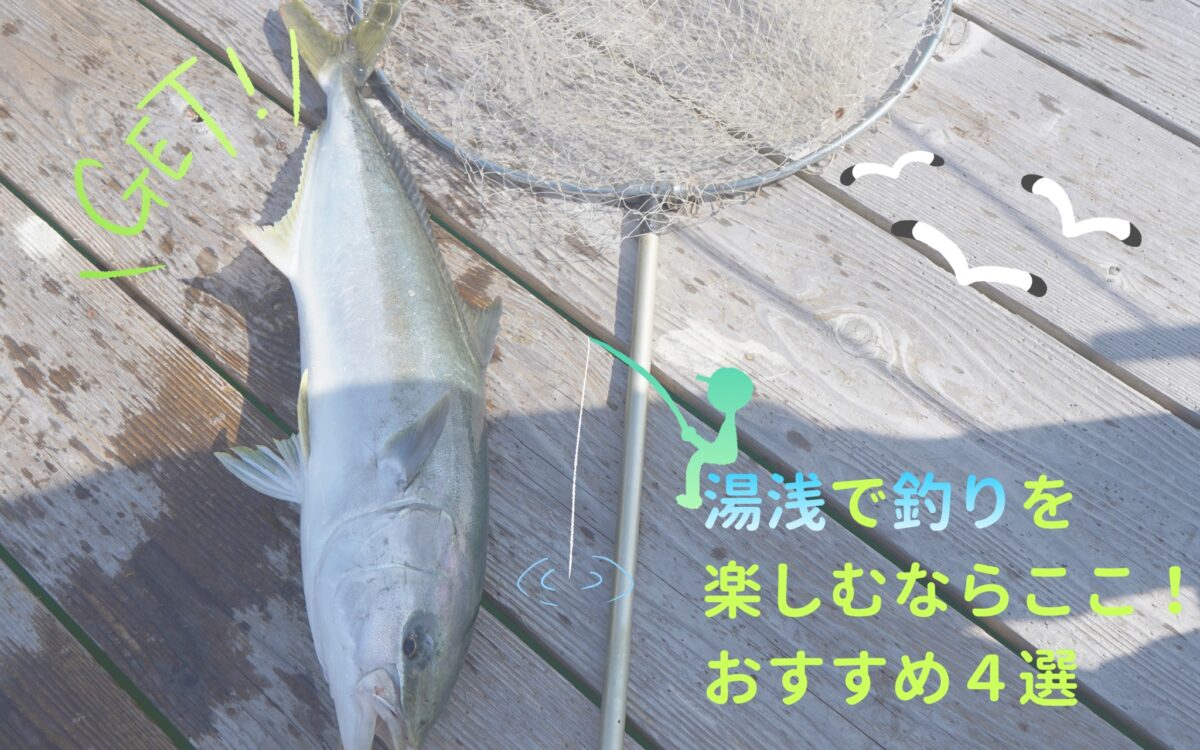 【釣り特集】湯浅で釣りを楽しむならここ！おすすめ４選