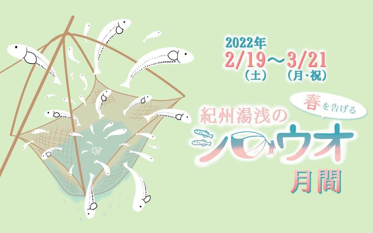 今年もシロウオ月間が始まります!2022年2月19日〜3月21日
