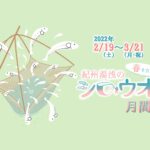 今年もシロウオ月間が始まります！2022年2月19日〜3月21日