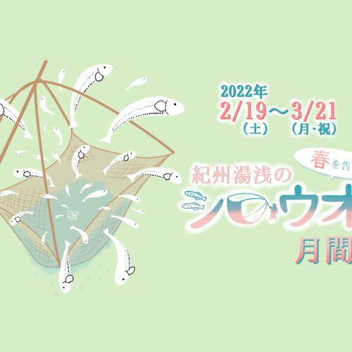 今年もシロウオ月間が始まります！2022年2月19日〜3月21日