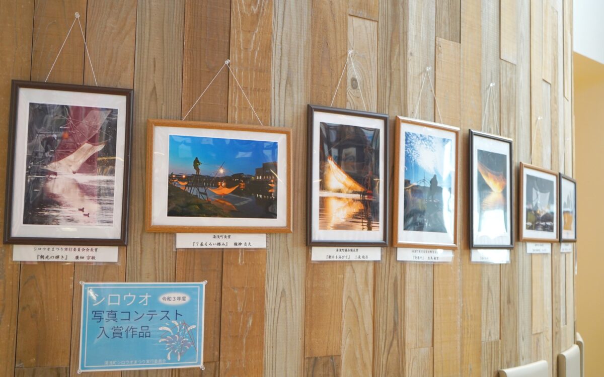 令和3年度シロウオ写真コンテスト受賞作品展