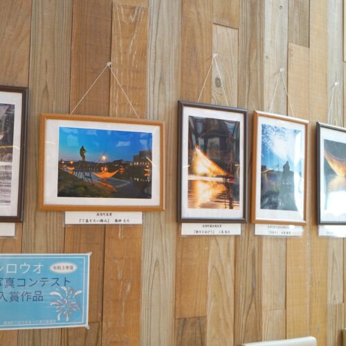 令和3年度シロウオ写真コンテスト受賞作品展