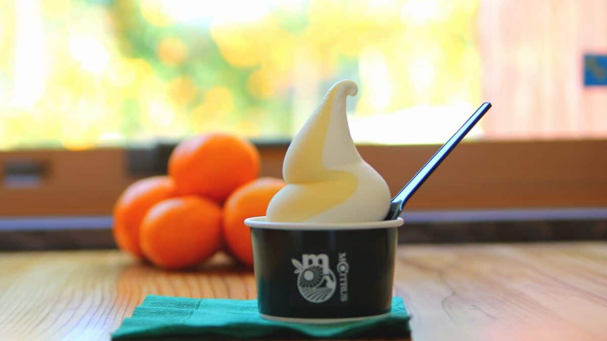 M.CITRUS（エムシトラス）フルーツパーラー