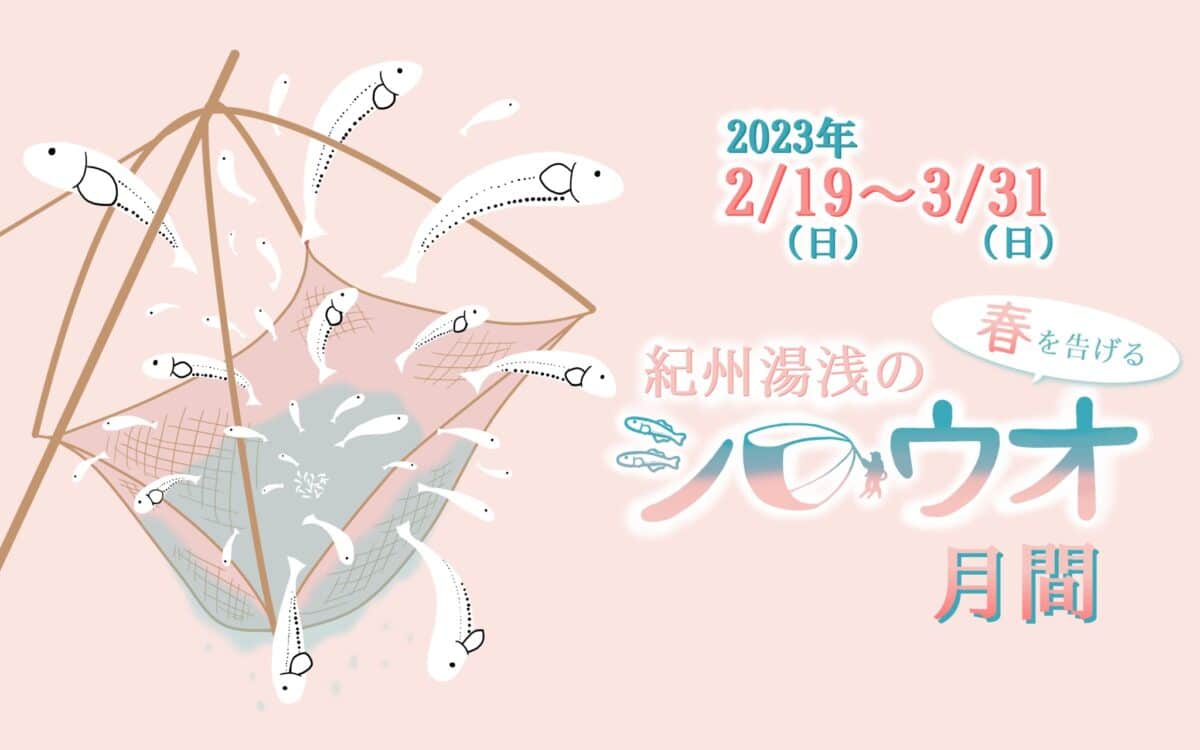 【今年はシロウオまつりも開催!】シロウオ月間が始まります!2023年2月19日〜3月31日