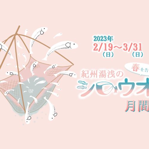 【今年はシロウオまつりも開催！】シロウオ月間が始まります！2023年2月19日〜3月31日