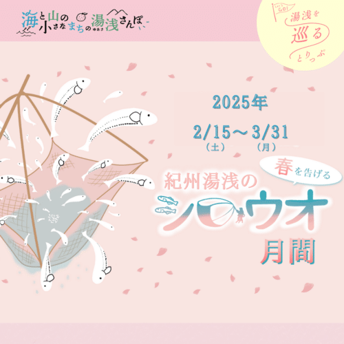 【春の風物詩】シロウオ月間が始まります！2月15日(土)〜3月31日(月)