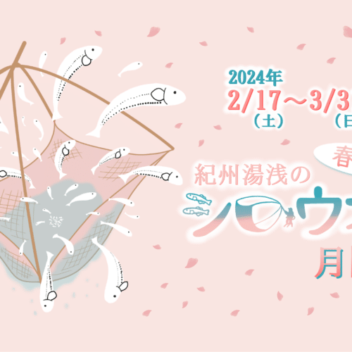 【春の風物詩】シロウオ月間が始まります！2月17日(土)〜3月31日(日)