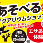 やどかり屋
