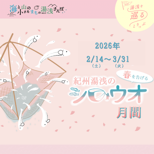 【春の風物詩】シロウオ月間が始まります！2月14日(土)〜3月31日(火)